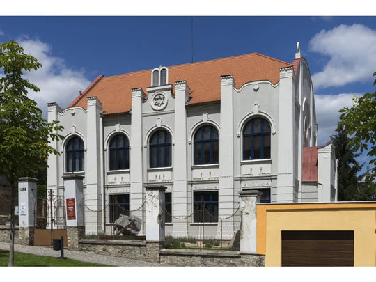 Tour to Kutná Hora, Čáslav and Kolín