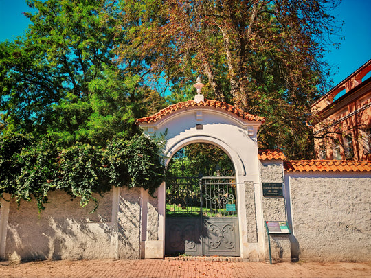 Tour to Kutná Hora, Čáslav and Kolín