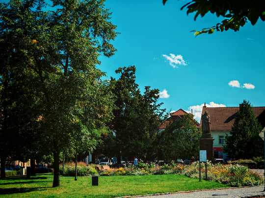 Tour to Kutná Hora, Čáslav and Kolín