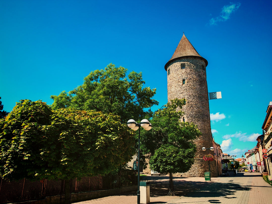 Tour to Kutná Hora, Čáslav and Kolín