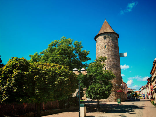 Tour to Kutná Hora, Čáslav and Kolín