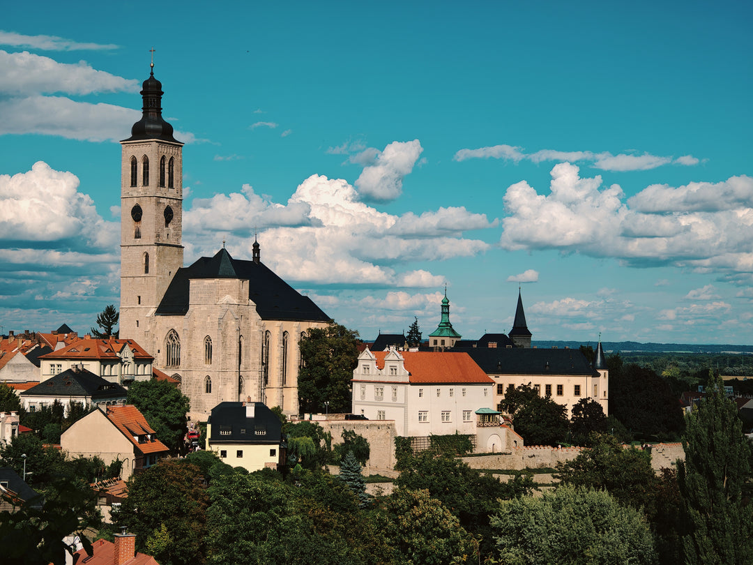 Tour to Kutná Hora, Čáslav and Kolín