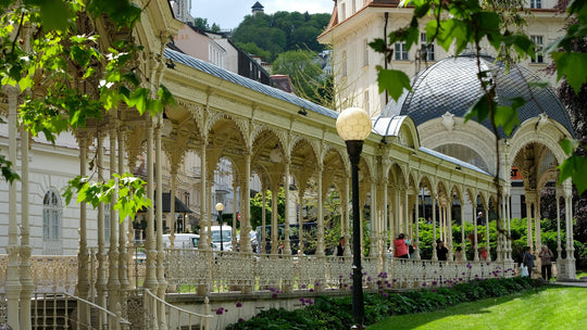 Pilsen & Karlsbad Full-Day Tour